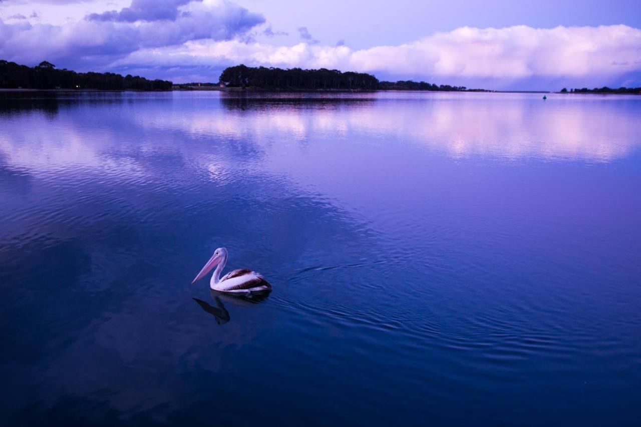 Hotel The Seabird Moruya Exterior foto